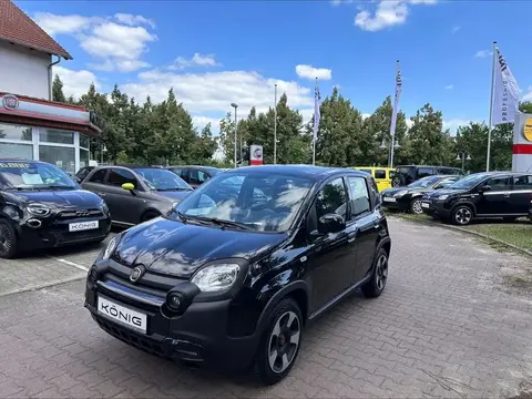 Annonce FIAT PANDA Essence 2023 d'occasion 