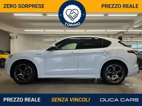 Used ALFA ROMEO STELVIO Diesel 2021 Ad 