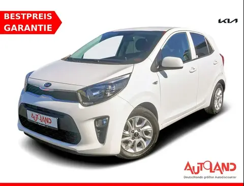 Annonce KIA PICANTO Essence 2019 d'occasion 