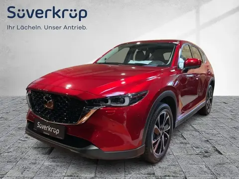 Annonce MAZDA CX-5 Diesel 2024 d'occasion 