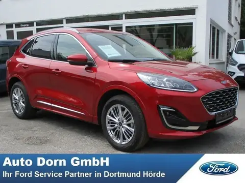 Used FORD KUGA Petrol 2023 Ad 