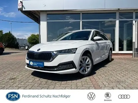 Annonce SKODA OCTAVIA Diesel 2021 d'occasion 