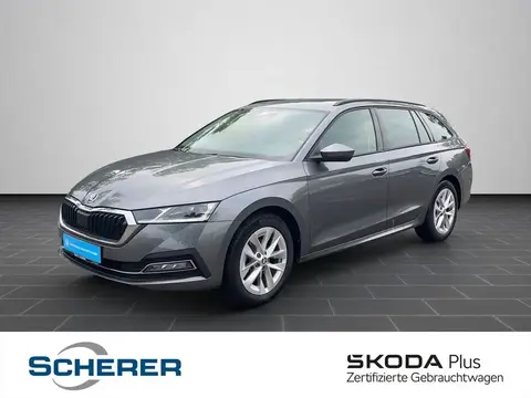 Annonce SKODA OCTAVIA Essence 2023 d'occasion 