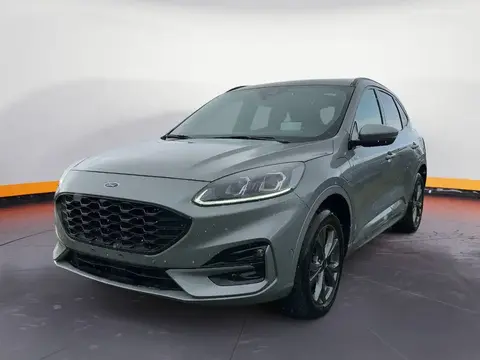 Annonce FORD KUGA Essence 2022 d'occasion 