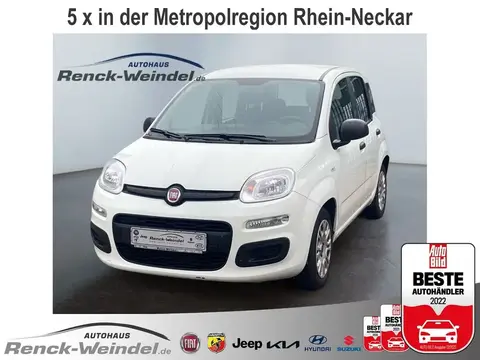 Used FIAT PANDA Petrol 2021 Ad 