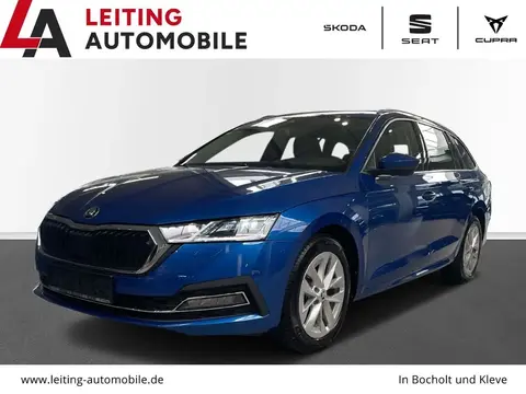 Used SKODA OCTAVIA Diesel 2021 Ad 