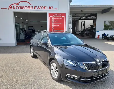 Annonce SKODA OCTAVIA Diesel 2020 d'occasion 