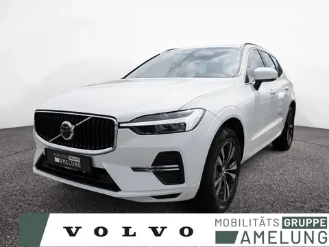 Used VOLVO XC60 Diesel 2022 Ad 