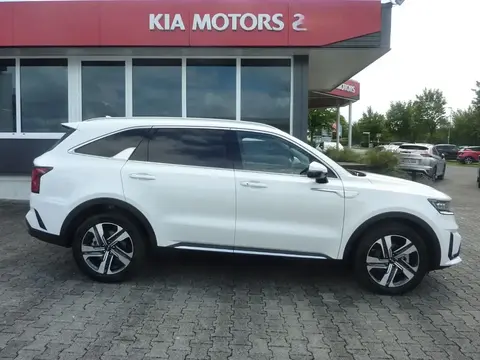 Used KIA SORENTO Petrol 2024 Ad 