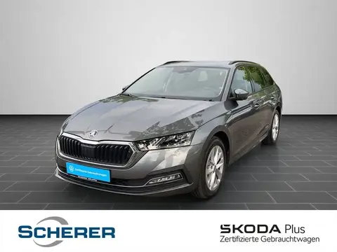 Used SKODA OCTAVIA Petrol 2023 Ad 