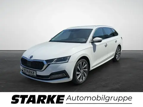 Annonce SKODA OCTAVIA Diesel 2020 d'occasion 