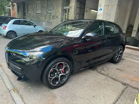 Used ALFA ROMEO STELVIO Petrol 2023 Ad 