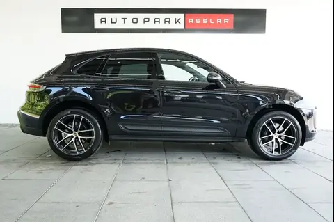 Used PORSCHE MACAN Petrol 2023 Ad 