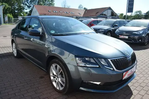 Used SKODA OCTAVIA Petrol 2018 Ad 