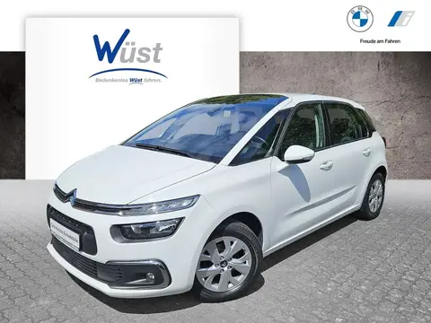 Used CITROEN C4 Diesel 2019 Ad 