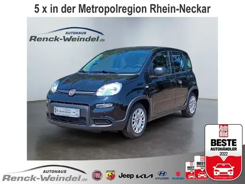 Used FIAT PANDA Hybrid 2024 Ad 