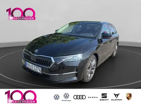 Annonce SKODA OCTAVIA Diesel 2024 d'occasion 