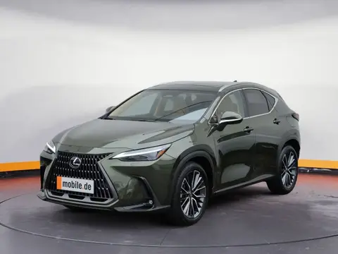 Annonce LEXUS NX Hybride 2023 d'occasion 