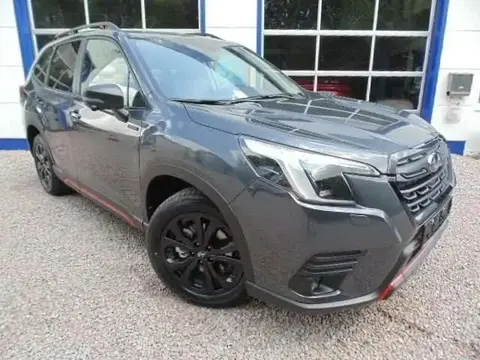 Used SUBARU FORESTER Petrol 2024 Ad 