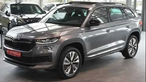 Annonce SKODA KODIAQ Diesel 2024 d'occasion 