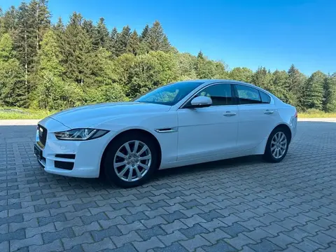 Used JAGUAR XE Diesel 2015 Ad 