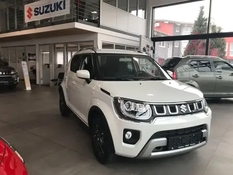 Annonce SUZUKI IGNIS Essence 2024 d'occasion 