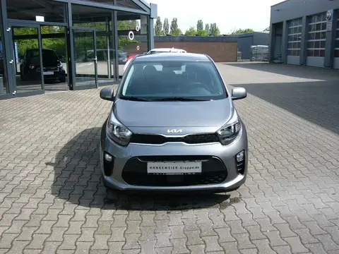 Used KIA PICANTO Petrol 2024 Ad 