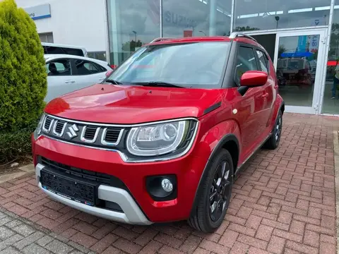 Used SUZUKI IGNIS Petrol 2024 Ad 