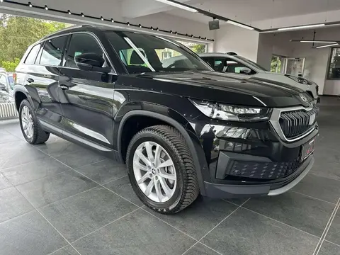 Used SKODA KODIAQ Petrol 2023 Ad 