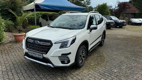 Annonce SUBARU FORESTER Essence 2023 d'occasion 