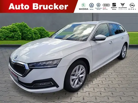 Used SKODA OCTAVIA Diesel 2022 Ad 