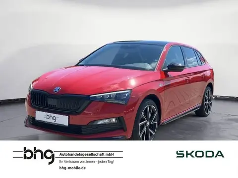 Annonce SKODA SCALA Essence 2020 d'occasion 