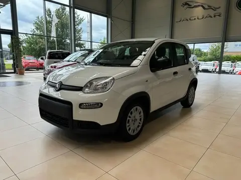 Annonce FIAT PANDA Essence 2024 d'occasion 