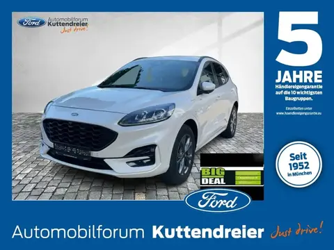 Used FORD KUGA Hybrid 2021 Ad 