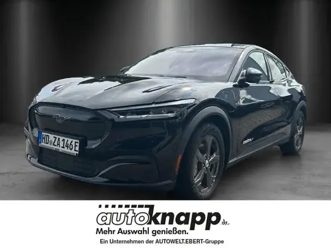 Annonce FORD MUSTANG Non renseigné 2023 d'occasion Allemagne