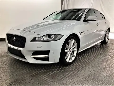 Used JAGUAR XF Diesel 2016 Ad 