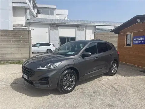 Used FORD KUGA Hybrid 2021 Ad 