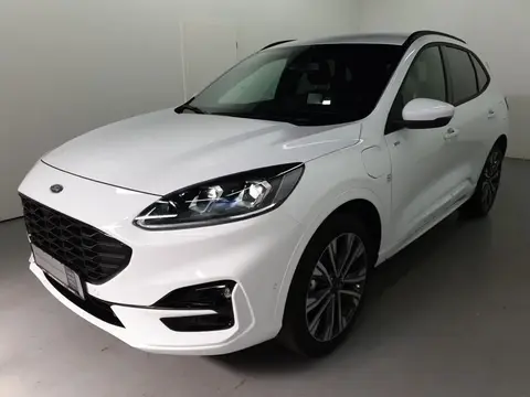 Used FORD KUGA Hybrid 2023 Ad 