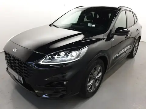 Used FORD KUGA Hybrid 2023 Ad 