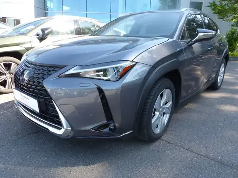 Used LEXUS UX Hybrid 2020 Ad 