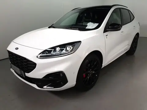 Annonce FORD KUGA Diesel 2023 d'occasion 