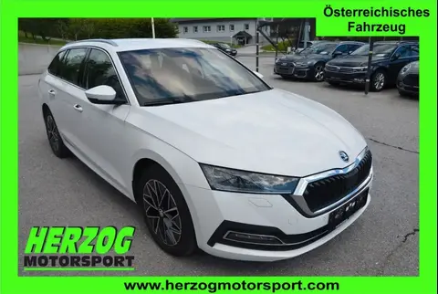 Used SKODA OCTAVIA Diesel 2021 Ad 