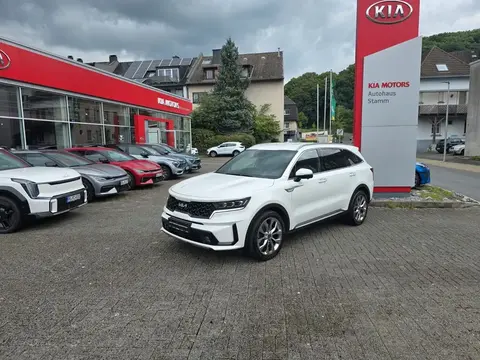 Used KIA SORENTO Diesel 2022 Ad 