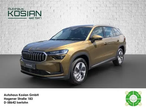 Used SKODA KODIAQ Diesel 2024 Ad Germany