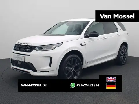 Used LAND ROVER DISCOVERY Petrol 2021 Ad 