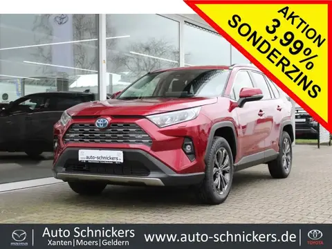 Annonce TOYOTA RAV4 Hybride 2024 d'occasion Allemagne