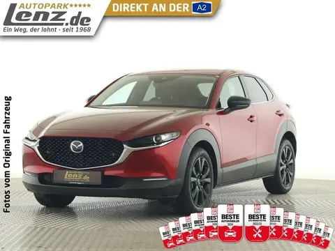 Annonce MAZDA CX-30 Essence 2023 d'occasion 