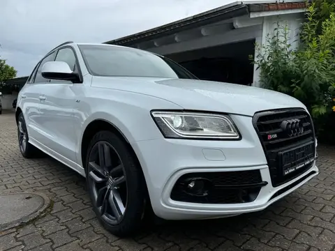 Annonce AUDI SQ5 Diesel 2017 d'occasion 