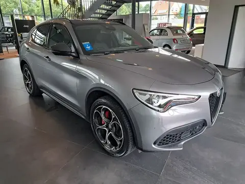 Used ALFA ROMEO STELVIO Petrol 2019 Ad 