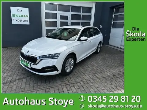 Used SKODA OCTAVIA Diesel 2024 Ad 